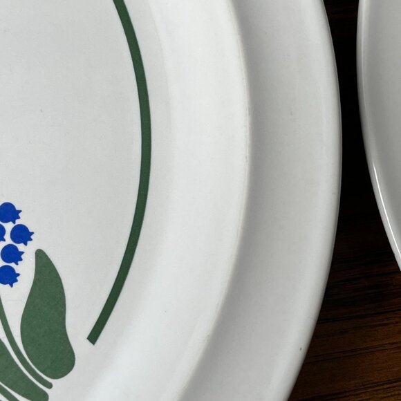 Anchor Hocking Greenhouse 3 Stoneware Dinner Plates Japan - Picture 5 of 10